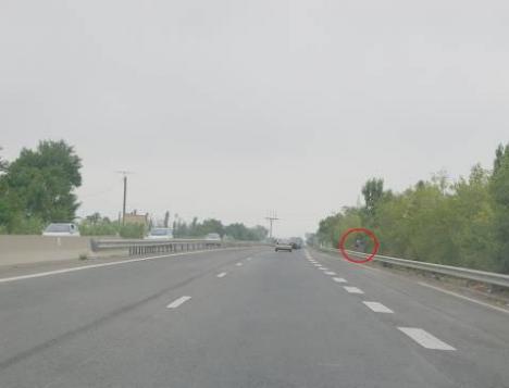 Photo 4 du radar automatique de Perpignan